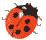 coccinell